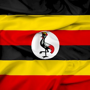 A Statement in Response to the Ugandan 'Anti-Homosexuality' Bill